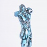 Torso