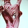 Magenta Cane Figure 2004