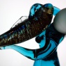 Dancing with Fish
